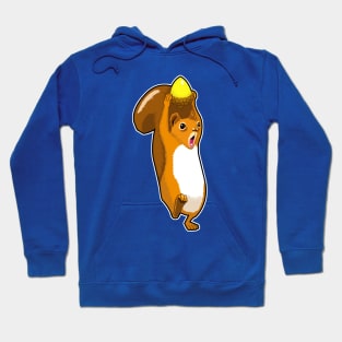 Squirrel Trying To Get A Nut Hoodie